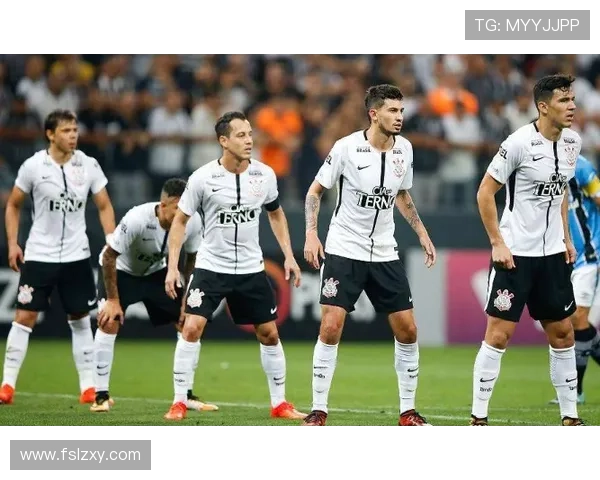 巴甲联赛直播腾讯体育（巴甲联赛比分赛程）sports